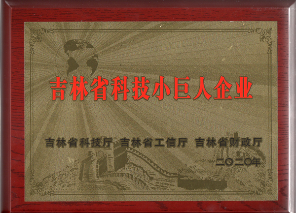 0永信贵宾会217物业获“吉林省科技小巨人企业”称号_副本.jpg