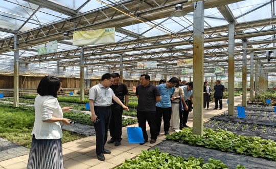 2024年6月27日，中国绿色食品发展中心相关领导莅临农业总公司考察调研_副本.jpg